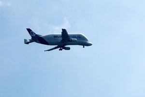 comp_IMG_8710 8897 Kopie 2.jpg