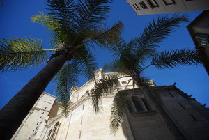 Bild - 4.JPG Bild - 4.JPG