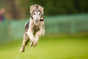 D3C_8368-1-2.JPG D3C_8368-1-2.JPG