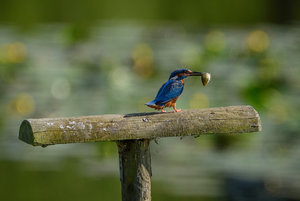 gotcha-ii_35988294545_o Kopie.jpg gotcha-ii_35988294545_o Kopie.jpg