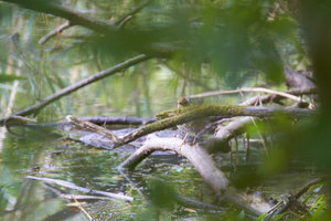 compr_IMG_6862.jpg compr_IMG_6862.jpg