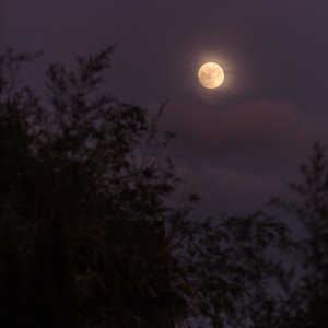 für Fotoforum-3.JPG