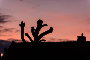 für Fotoforum-4.JPG