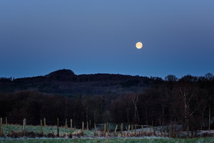 für Fotoforum-5.JPG