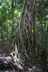 1200_FrameDSC09175.jpg 1200_FrameDSC09175.jpg