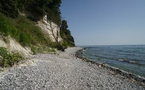 Rügen_Kreidefelsen 10a.jpg