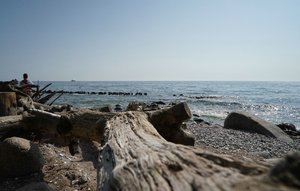 Rügen_Kreidefelsen 11a.jpg