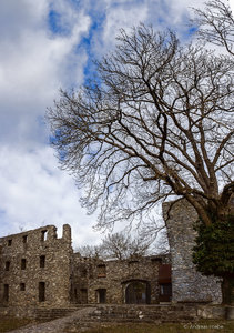 DSC_6004-Pano_SHARPEN projects.jpg