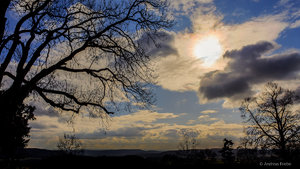 DSC_6062_SHARPEN projects.jpg