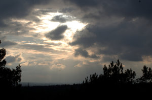 Lichtblick Forum.jpg