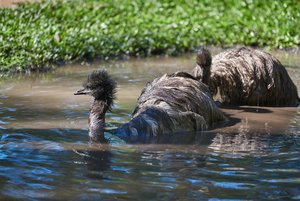 _1140DSC_6696.jpg _1140DSC_6696.jpg