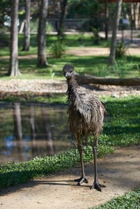 _1140DSC_6719.jpg _1140DSC_6719.jpg