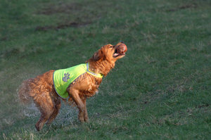 Yenko Portrait 5 Forum.jpg
