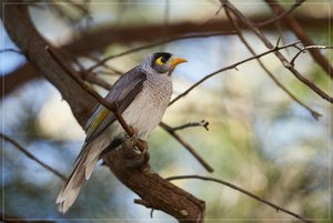 1200_FrameDSC_5023.jpg 1200_FrameDSC_5023.jpg