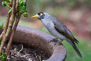 DSC_1446_1200_.jpg DSC_1446_1200_.jpg