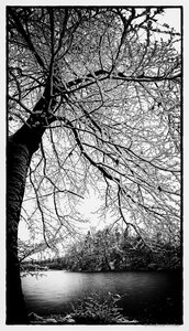 OMD98403-Pano_SHARPEN projects-Bearbeitet-2-2.jpg