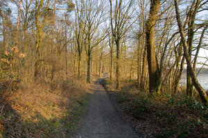 Dieser Weg ist das Ziel.jpg