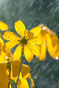 200_1305_SHARPEN projects.jpg