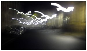 215346-491bddbf-2133-45b2-b4c1-03de0471a8e1.jpg 215346-491bddbf-2133-45b2-b4c1-03de0471a8e1.jpg