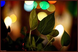 Bild - 13.jpg Bild - 13.jpg