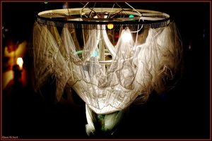 Bild - 15.jpg Bild - 15.jpg