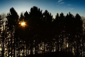 FB DSC09328psdGkw Nex5r + Pancolar 1,8 50mm ©PPf.jpg