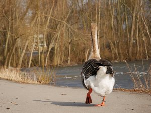 P1130493 - Kopie (2).JPG