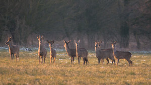 _MG_6422.jpg _MG_6422.jpg