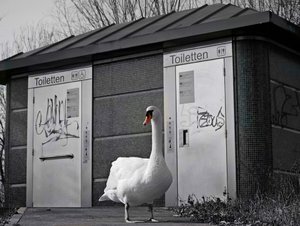 P1130847 - Kopie (2).JPG