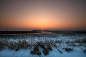 _MG_6922.jpg _MG_6922.jpg