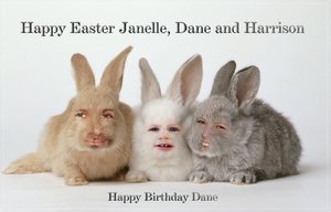 1200_FrameJanelle, Dane & Harrison Bunnies JPEG.jpg