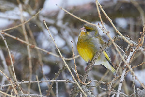 compr_IMG_2199_1.jpg compr_IMG_2199_1.jpg