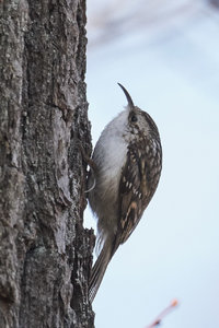 compr_IMG_0932.jpg compr_IMG_0932.jpg