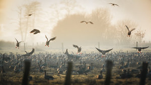 _Y0A0038-Bearbeitet.jpg _Y0A0038-Bearbeitet.jpg