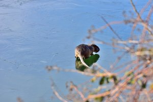 K1600__DSC8482_00001_DSC8482.JPG K1600__DSC8482_00001_DSC8482.JPG