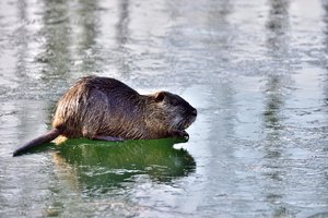 K1600__DSC8467_00001_DSC8467.JPG K1600__DSC8467_00001_DSC8467.JPG