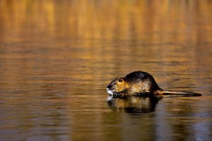 K1600__DSC8500_00001_DSC8500.JPG K1600__DSC8500_00001_DSC8500.JPG