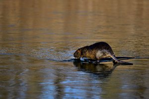 K1600__DSC8505_00001_DSC8505.JPG K1600__DSC8505_00001_DSC8505.JPG