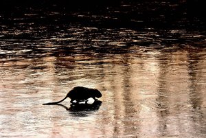 K1600__DSC8485_00001_DSC8485.JPG K1600__DSC8485_00001_DSC8485.JPG