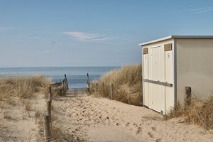 comp_SDIM5548.jpg comp_SDIM5548.jpg