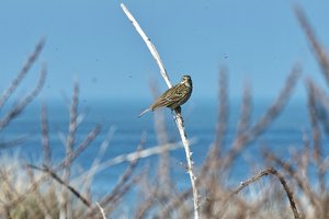 comp_SDIM5551.jpg comp_SDIM5551.jpg