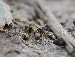 P1160110 - Kopie.JPG