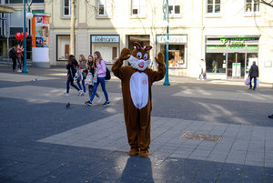 XT2D3970.jpg XT2D3970.jpg