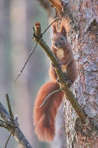 compr_IMG_6275.jpg compr_IMG_6275.jpg