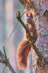 compr_IMG_6275_6.jpg compr_IMG_6275_6.jpg