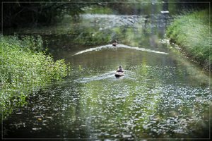 1200_Frame_7R200051-Bearbeitet.jpg 1200_Frame_7R200051-Bearbeitet.jpg