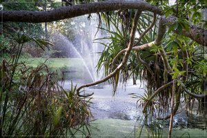 1200_Frame_A6500013-Bearbeitet.jpg 1200_Frame_A6500013-Bearbeitet.jpg