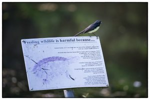 1200_Frame_7R200008-Bearbeitet.jpg 1200_Frame_7R200008-Bearbeitet.jpg