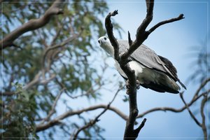 1200_Frame_7R200039-Bearbeitet.jpg 1200_Frame_7R200039-Bearbeitet.jpg