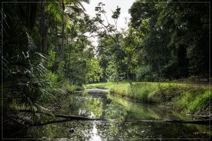 1200_Frame_A6500043-Bearbeitet.jpg 1200_Frame_A6500043-Bearbeitet.jpg